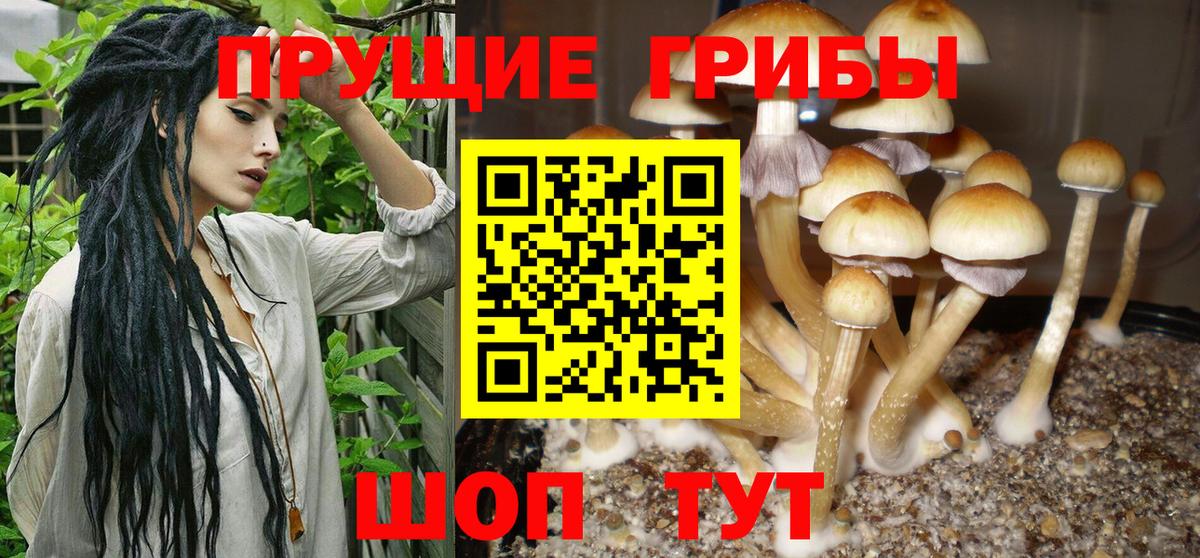 Галлюциногенные грибы ЛСД  Псилоцибиновые грибы мухоморы  Вход с VPN  Озёры 